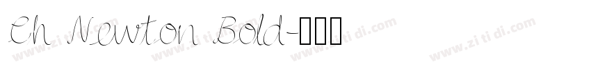 Ch Newton Bold字体转换